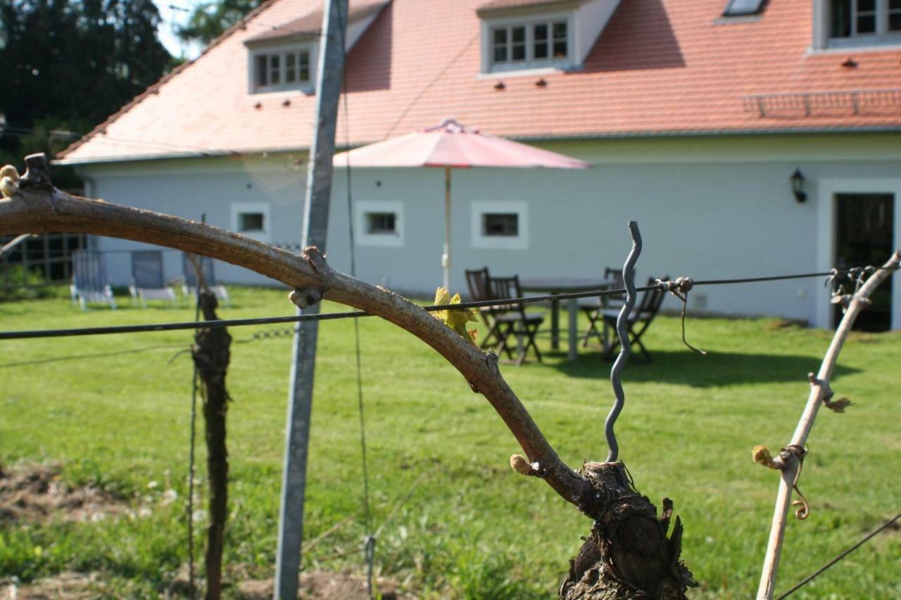Weingut Haus Steinbach Villa Radebeul Buitenkant foto